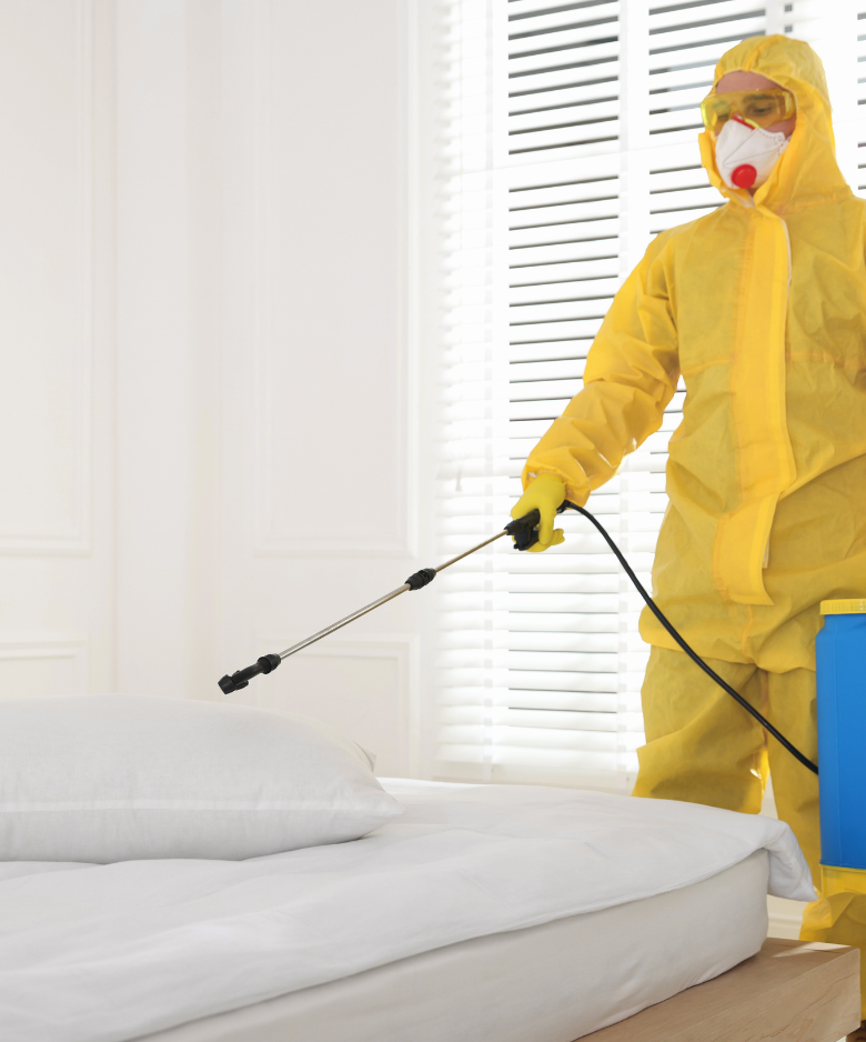 Professional Pest Control Team in Longwood